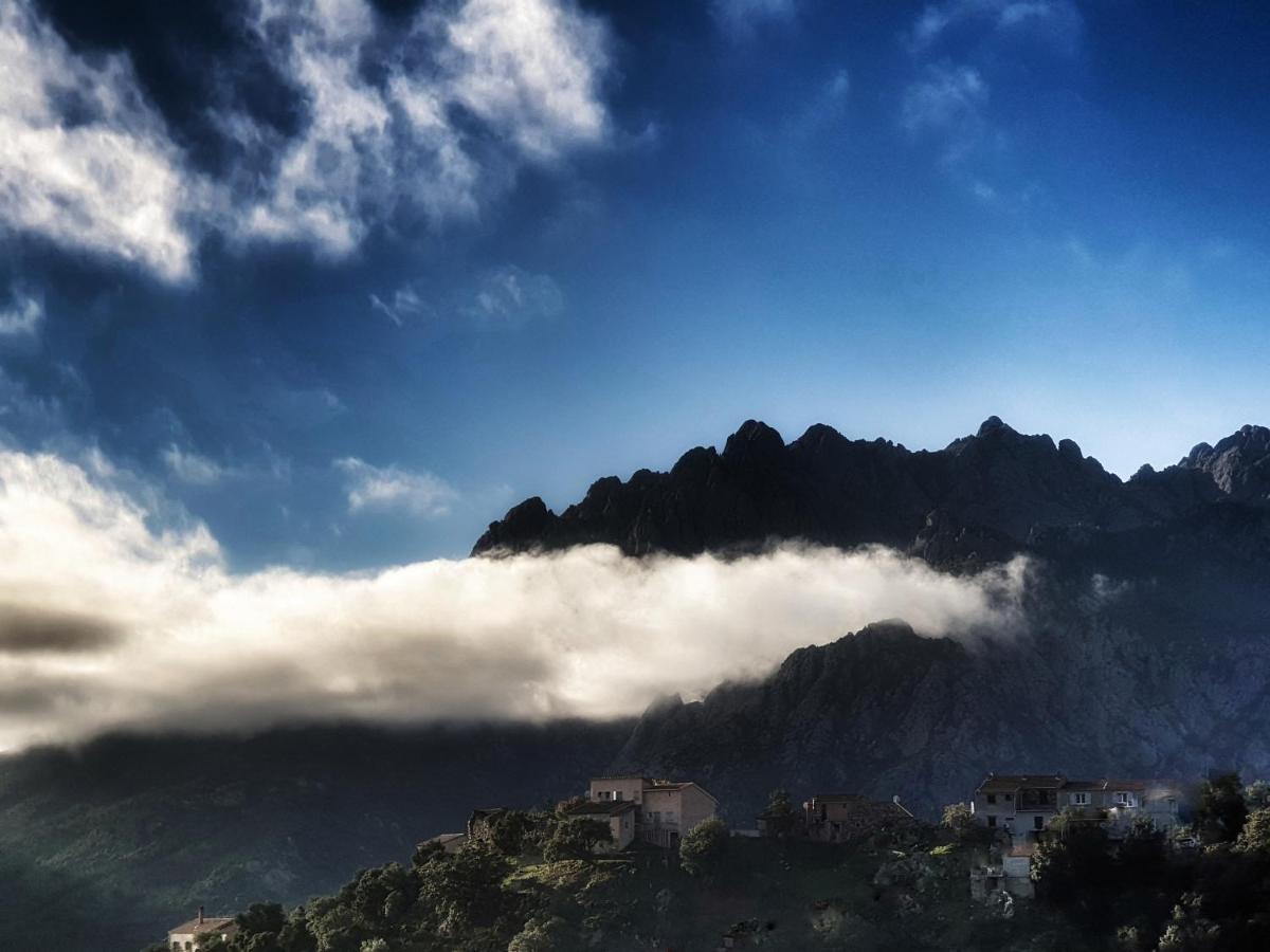 Domaine U Filanciu - Casa Ghjulia - Centru Di Corsica Βίλα Moltifao Εξωτερικό φωτογραφία