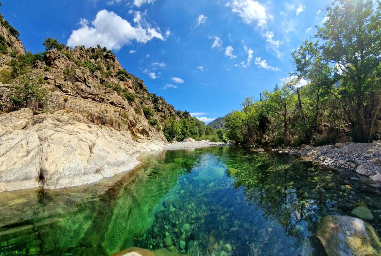 Domaine U Filanciu - Casa Ghjulia - Centru Di Corsica Βίλα Moltifao Εξωτερικό φωτογραφία